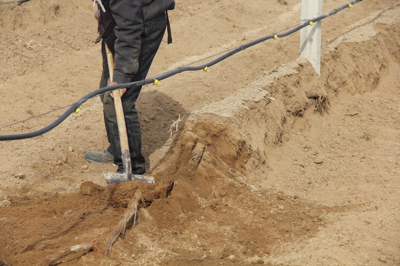 15531499809215.jpg 4.jpg