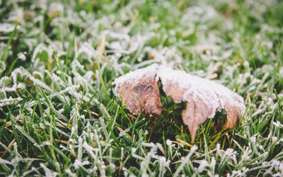 霜降｜ 秋將逝，冬將至