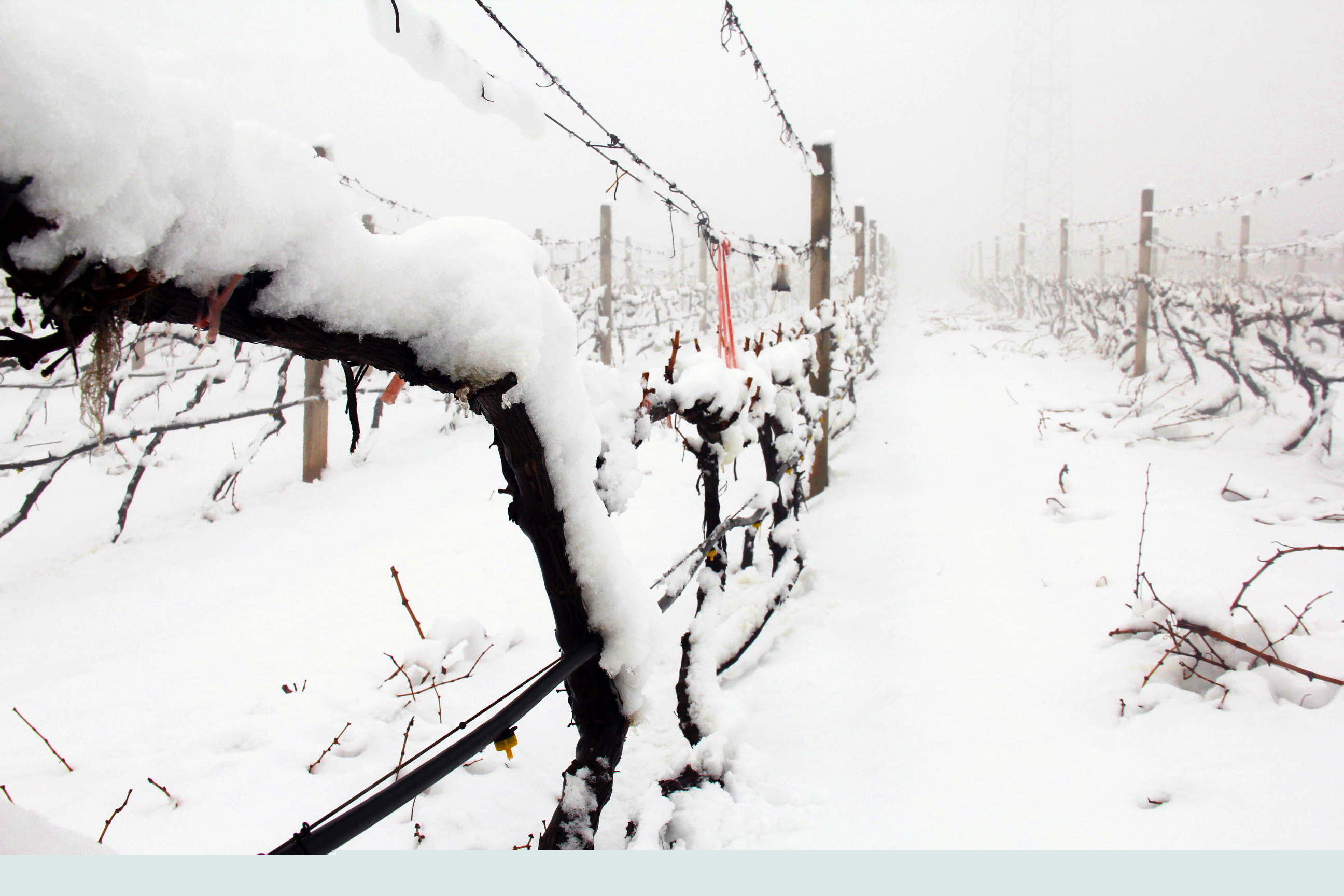 瑞雪兆豐年 ▎時光正好，歲月極美，何必覓遠方