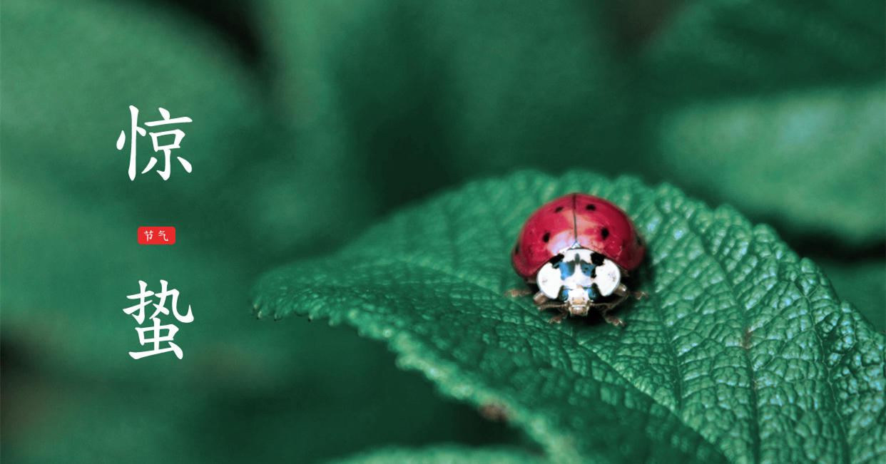 驚蟄 ▎驚蟄始，萬物舒，與你聽風望春來