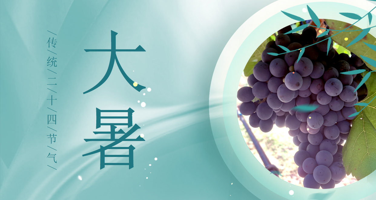 大暑 ▎時夏三伏盛，葡萄綴滿天