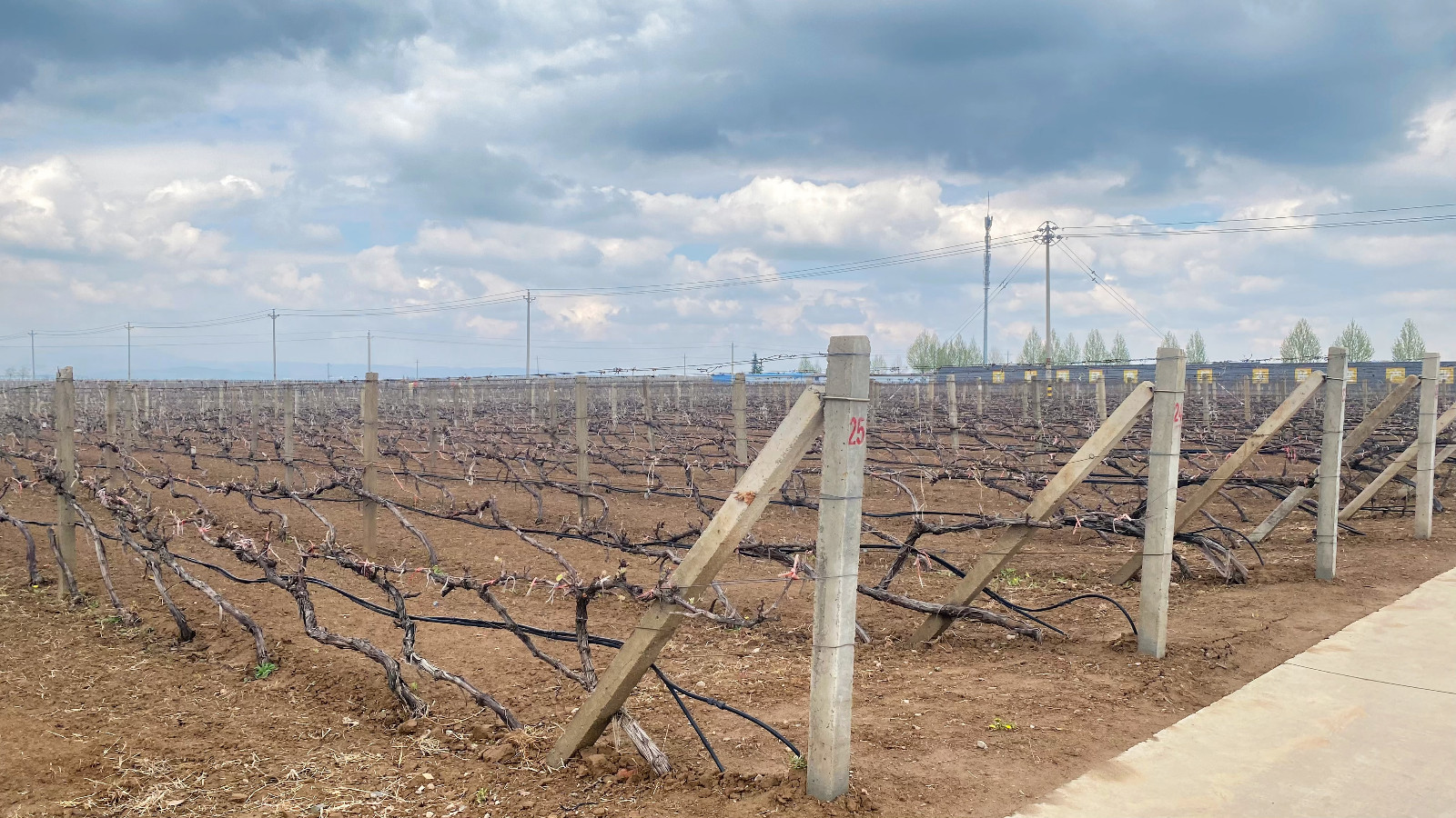 16821237405676.jpg 微信圖片_20230404144540.jpg