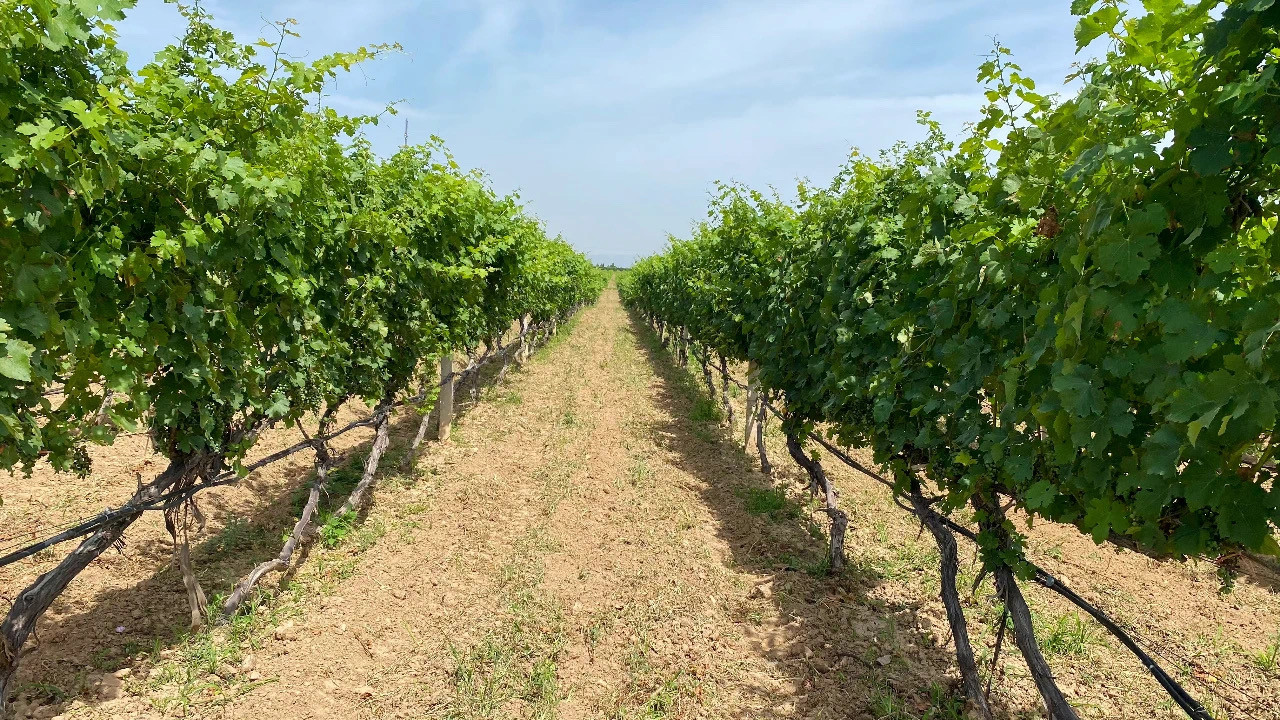 16905372172178.jpg 微信圖片_20230728173933.jpg