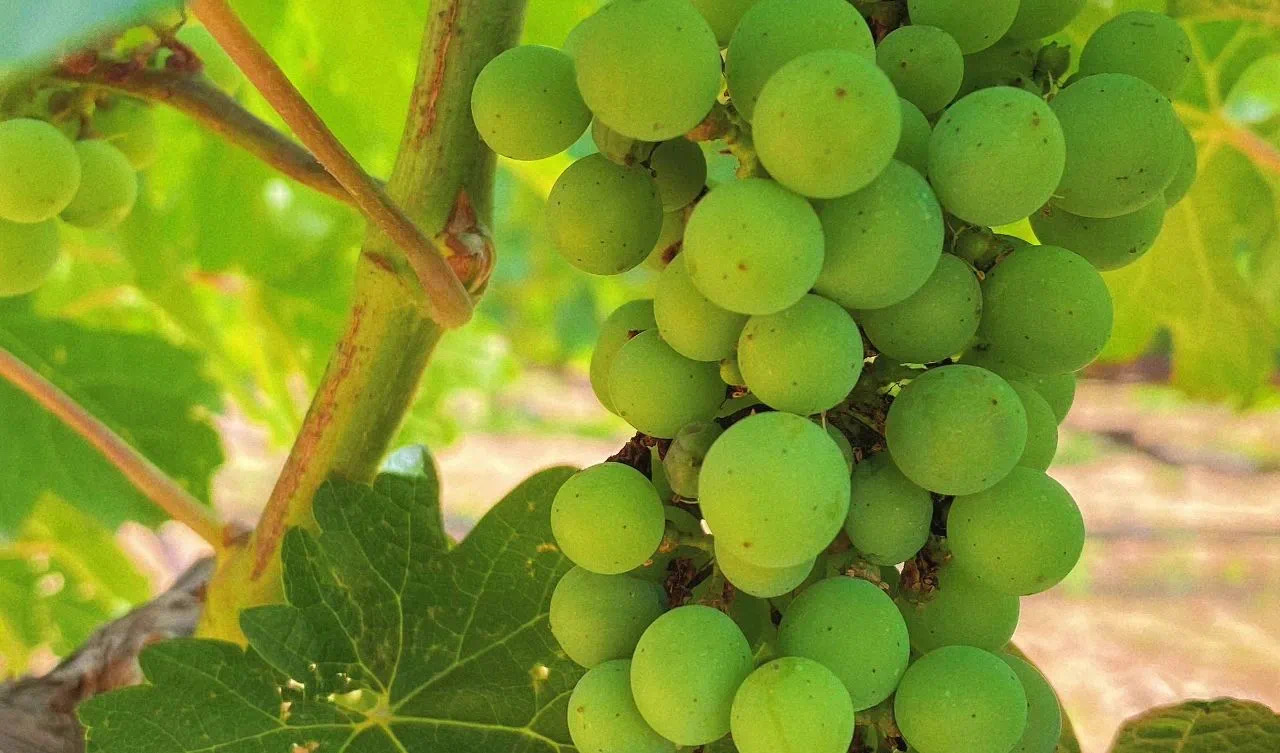 16905372274257.jpg 微信圖片_20230728173937.jpg