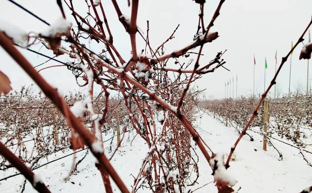 17114225025639.jpg 17e8f2edc0289dae328ad47e359a826d.jpg