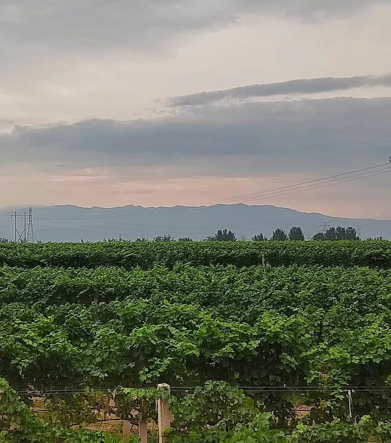 17206860966305.jpg dd7eaeb41cadac5fe538020fe8d37c3b.jpg